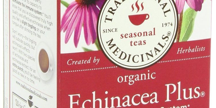 Why We Love Echinacea