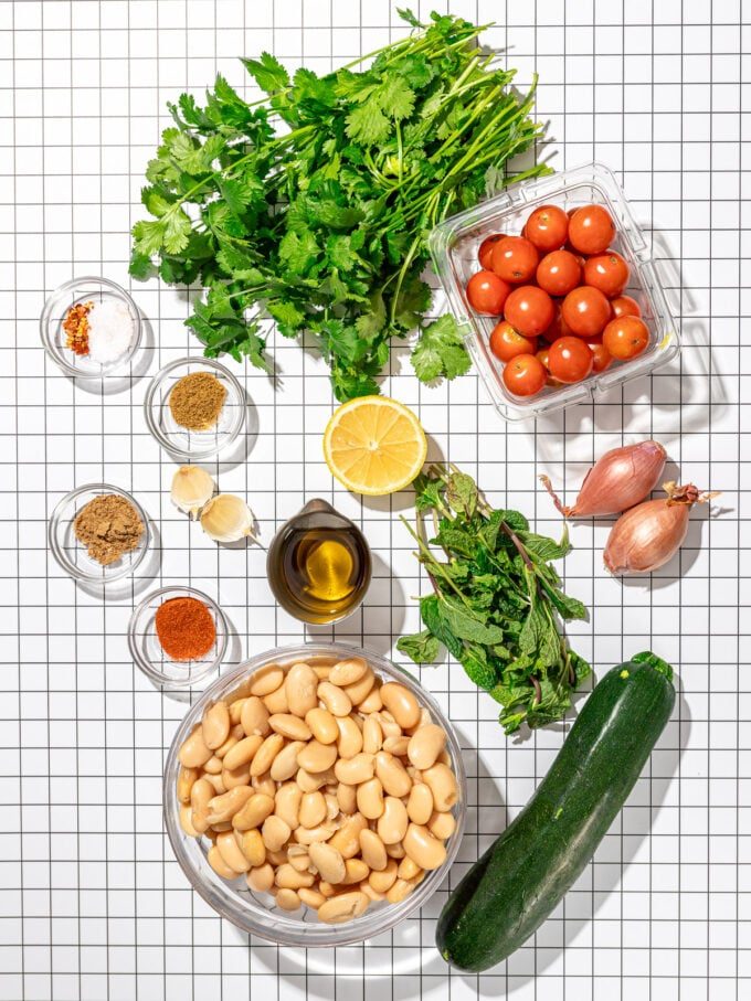 white beans, tomatoes, zucchini, cilantro on a grid