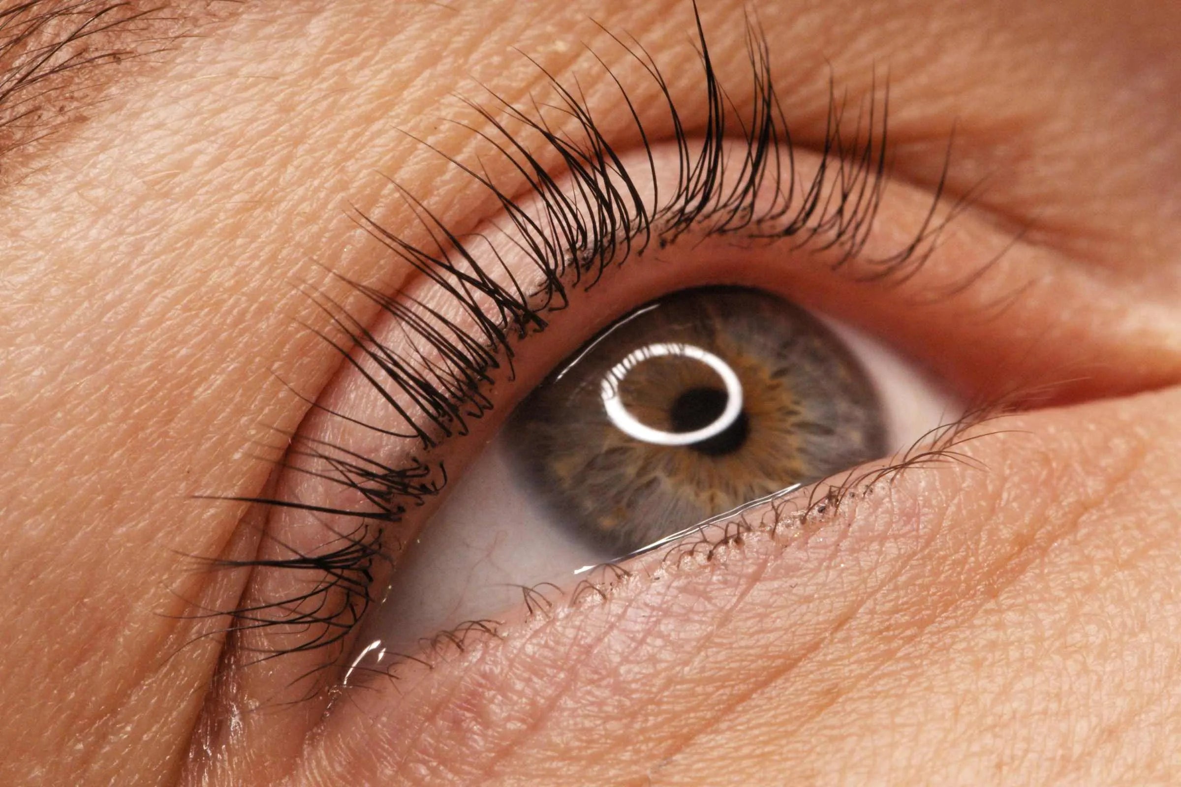 Cover_Photo_100_PURE_How_to_Grow_Your_Eyelashes_Naturally_Expert_Tips_That_Really_Work