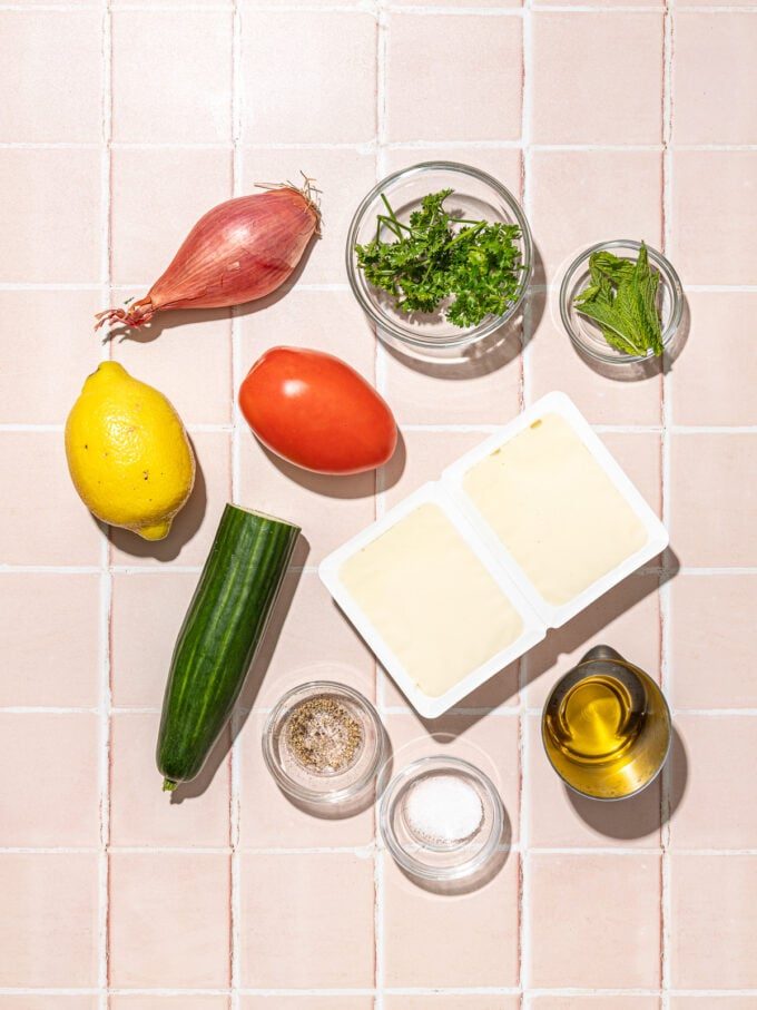 soft tofu, tomato, lemon, shallot, cucumber on pink tiles